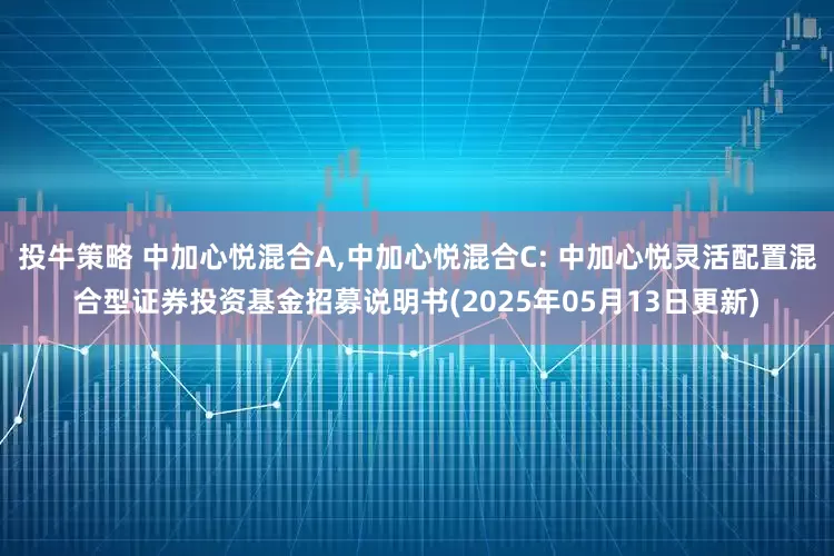 投牛策略 中加心悦混合A,中加心悦混合C: 中加心悦灵活配置混合型证券投资基金招募说明书(2025年05月13日更新)