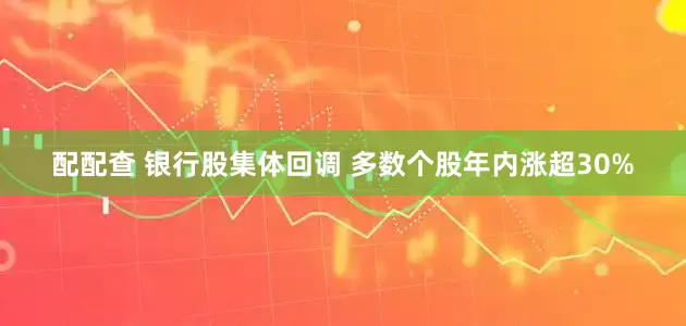 配配查 银行股集体回调 多数个股年内涨超30%
