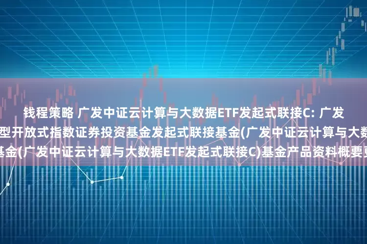 钱程策略 广发中证云计算与大数据ETF发起式联接C: 广发中证云计算与大数据主题交易型开放式指数证券投资基金发起式联接基金(广发中证云计算与大数据ETF发起式联接C)基金产品资料概要更新