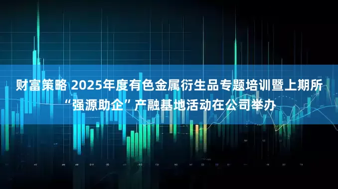 财富策略 2025年度有色金属衍生品专题培训暨上期所“强源助企”产融基地活动在公司举办
