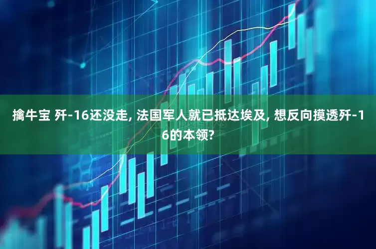 擒牛宝 歼-16还没走, 法国军人就已抵达埃及, 想反向摸透歼-16的本领?